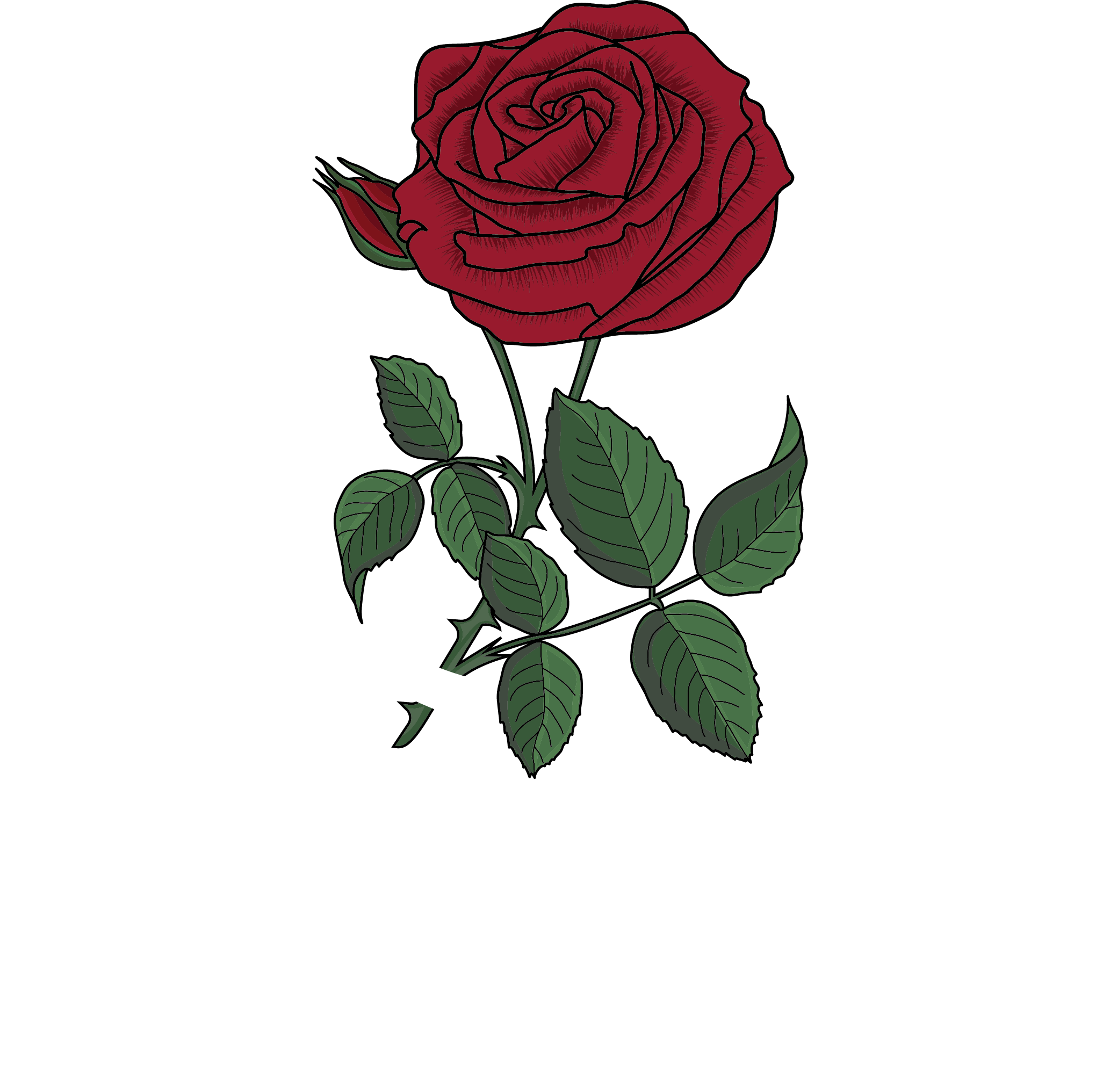 Rose Health Services
