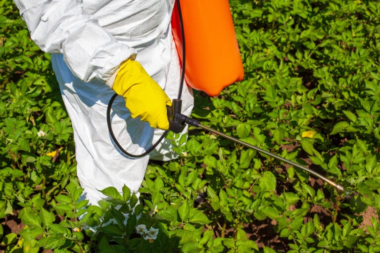 glyphosate