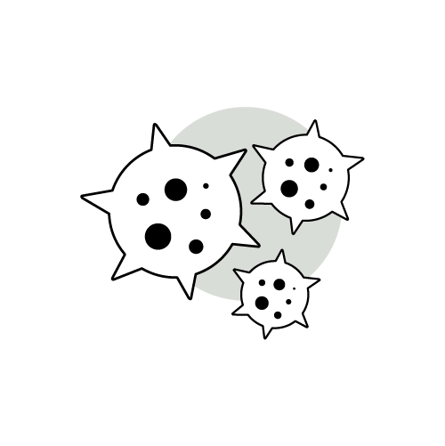 Immune System Support